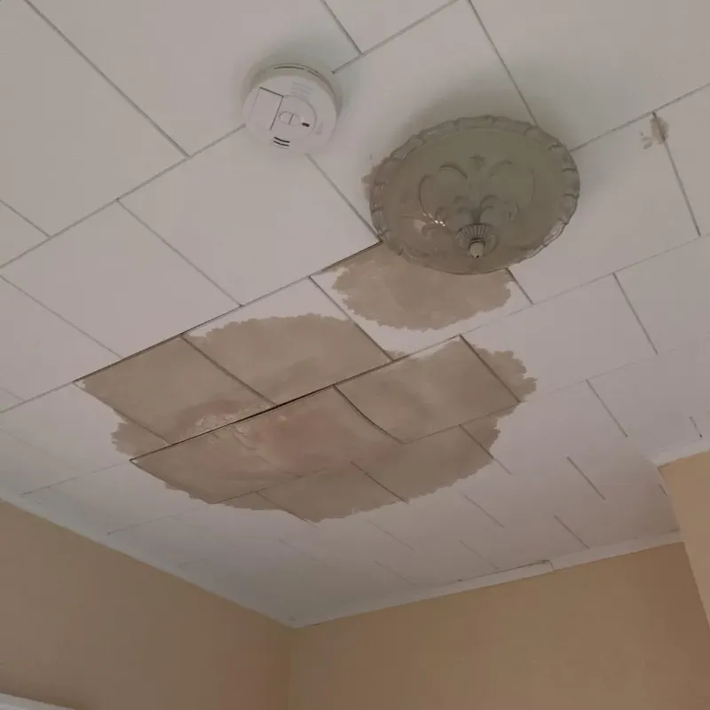Ceiling Water Damage Repair in Leadville North, CO