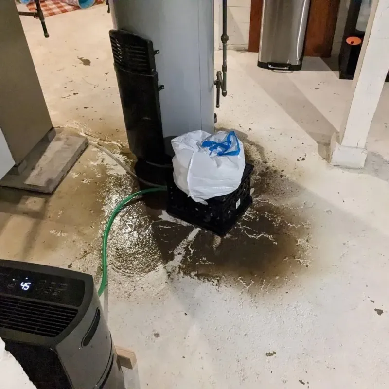 Sewage Backup Cleanup Service in Leadville North, CO